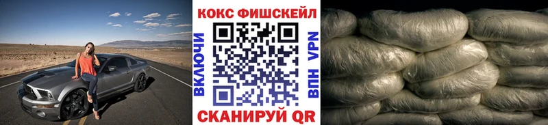 COCAIN Fish Scale  Купить где  Ардон 