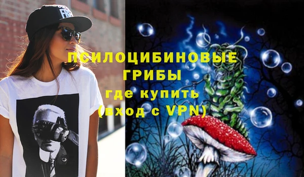 стаф Михайловск