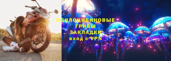 стаф Михайловск