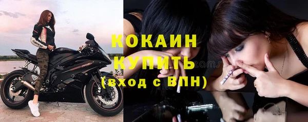стаф Михайловск