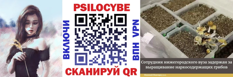 Галлюциногенные грибы мухоморы  Купить  Ардон 
